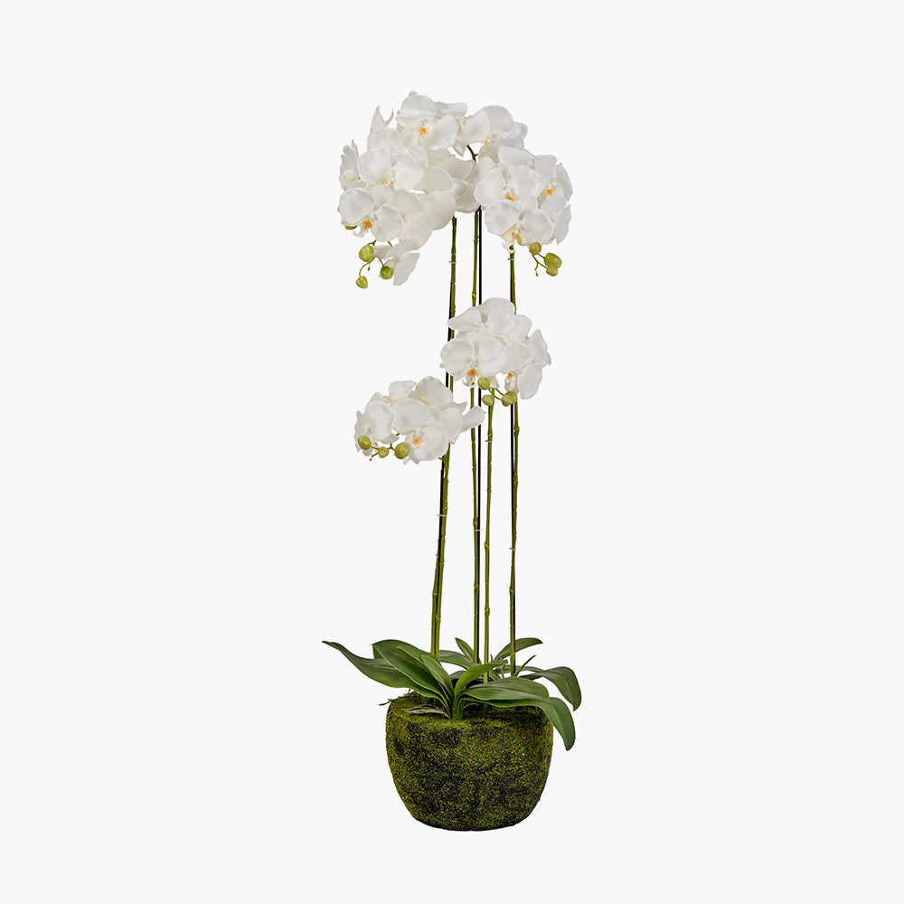 Artificial Tall White Orchid in Moss Pot